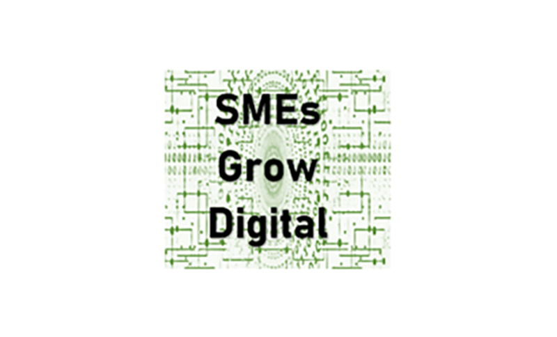 T’agradaria rebre assessorament sobre processos de digitalització? Forma part del programa de mentoria dins del projecte d'Erasmus+ SMEsGoDigital!