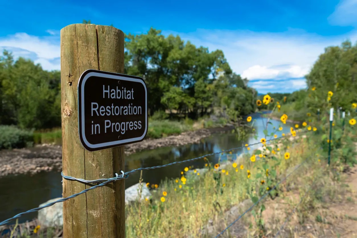 Entra en vigor la llei europea de Restauració de la Natura