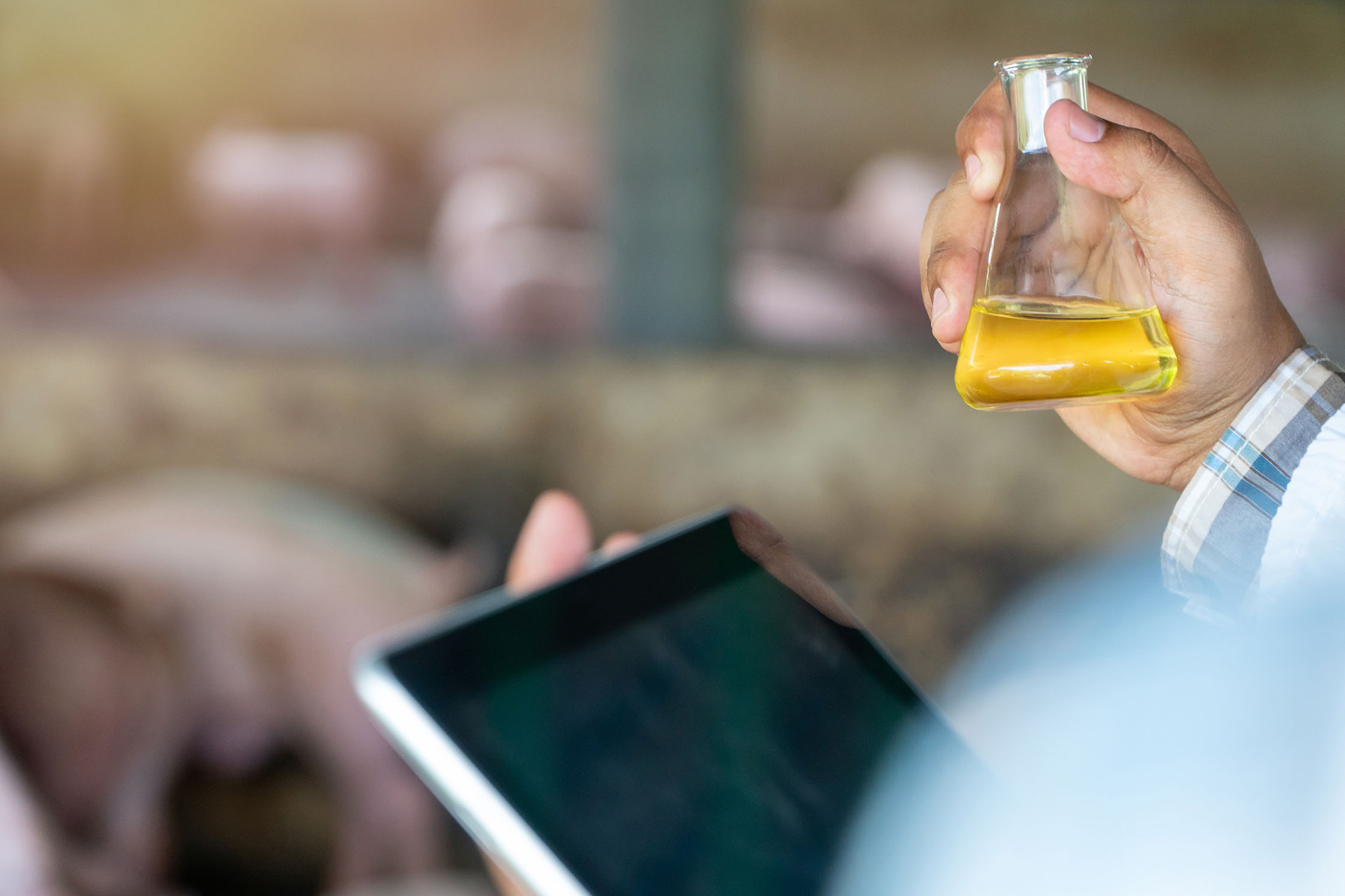 La teva empresa del sector químic vol créixer amb talent jove i format?